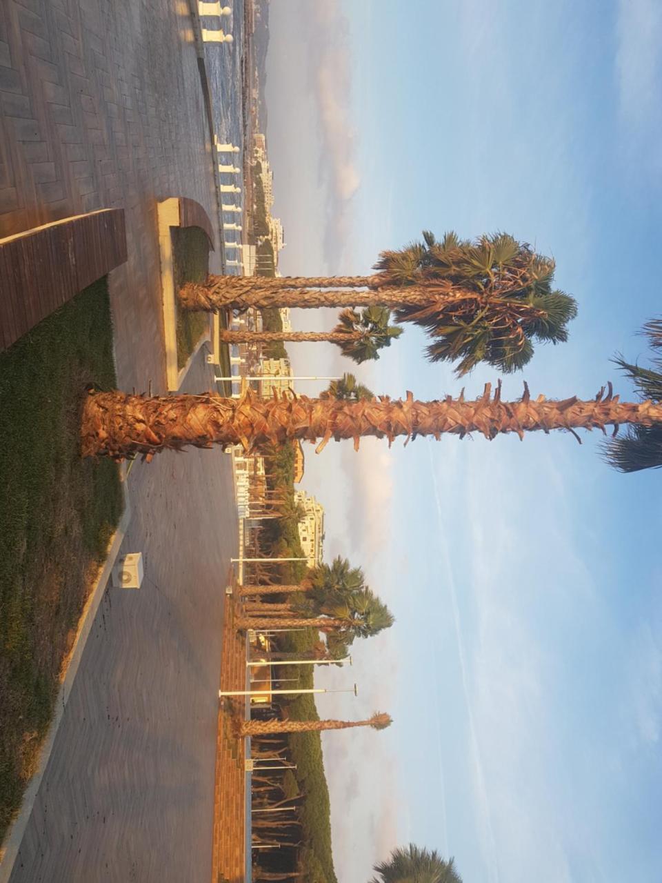 Lovely Apartment Golem  Bagian luar foto